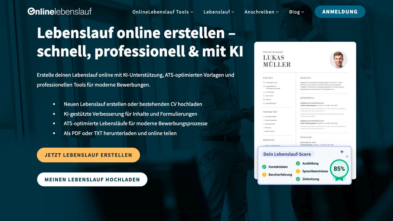Online Lebenslauf 网站截图