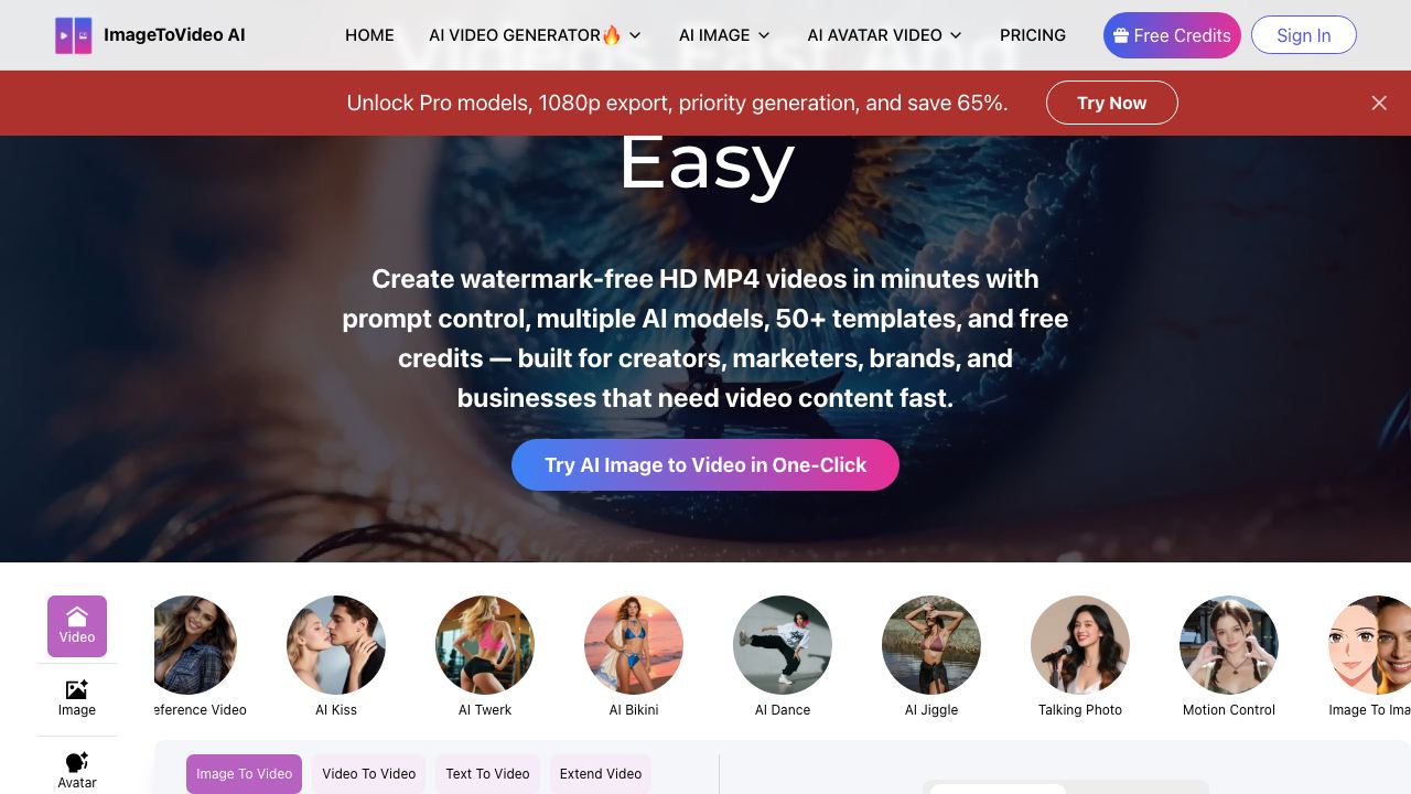 Image to Video AI website screenshot