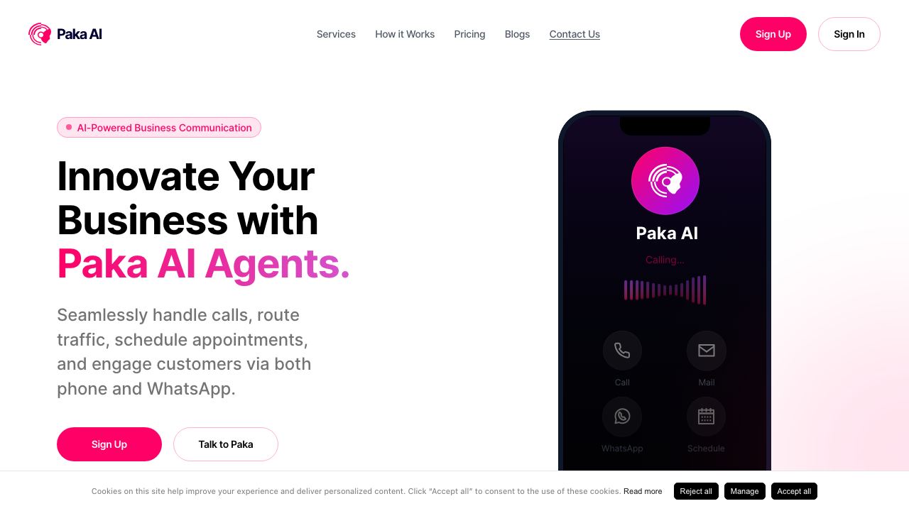 Paka AI 网站截图