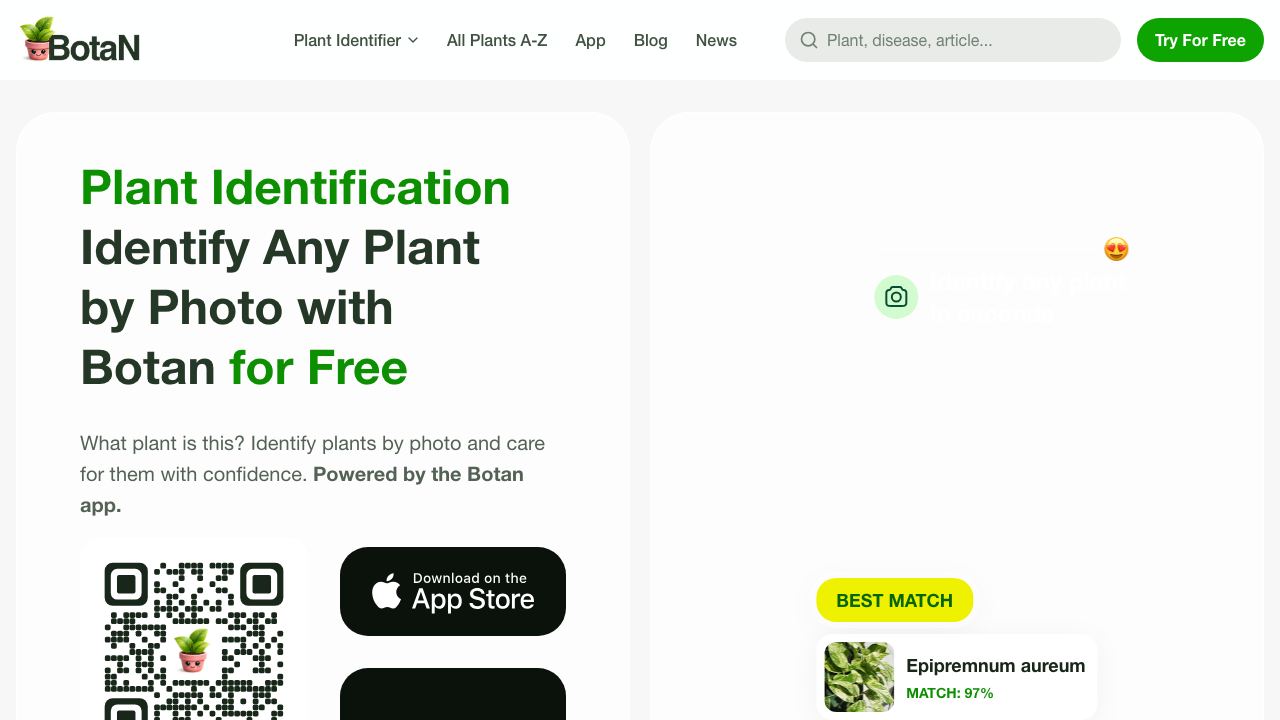 Botan App website screenshot