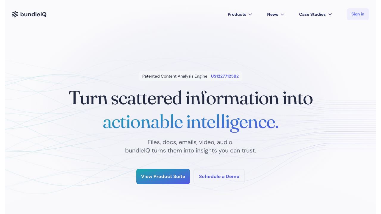 bundleIQ 网站截图