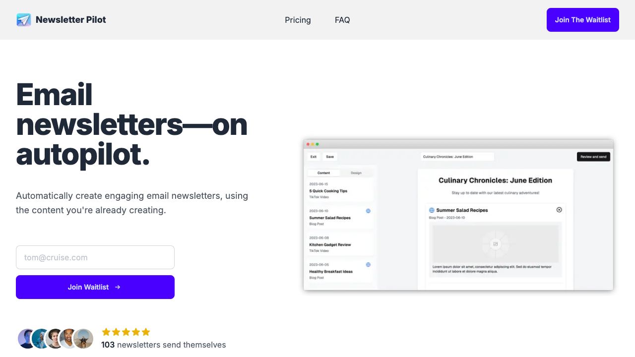 Newsletter Pilot 网站截图