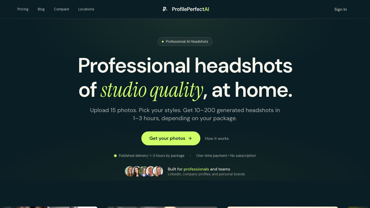 Profile Perfect AI 网站截图