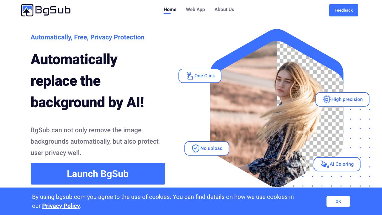 BgSub website screenshot