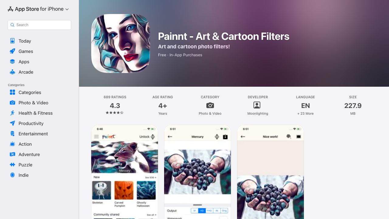 Painnt 网站截图