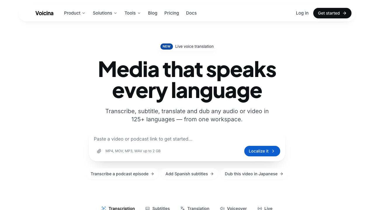 Voicina 网站截图
