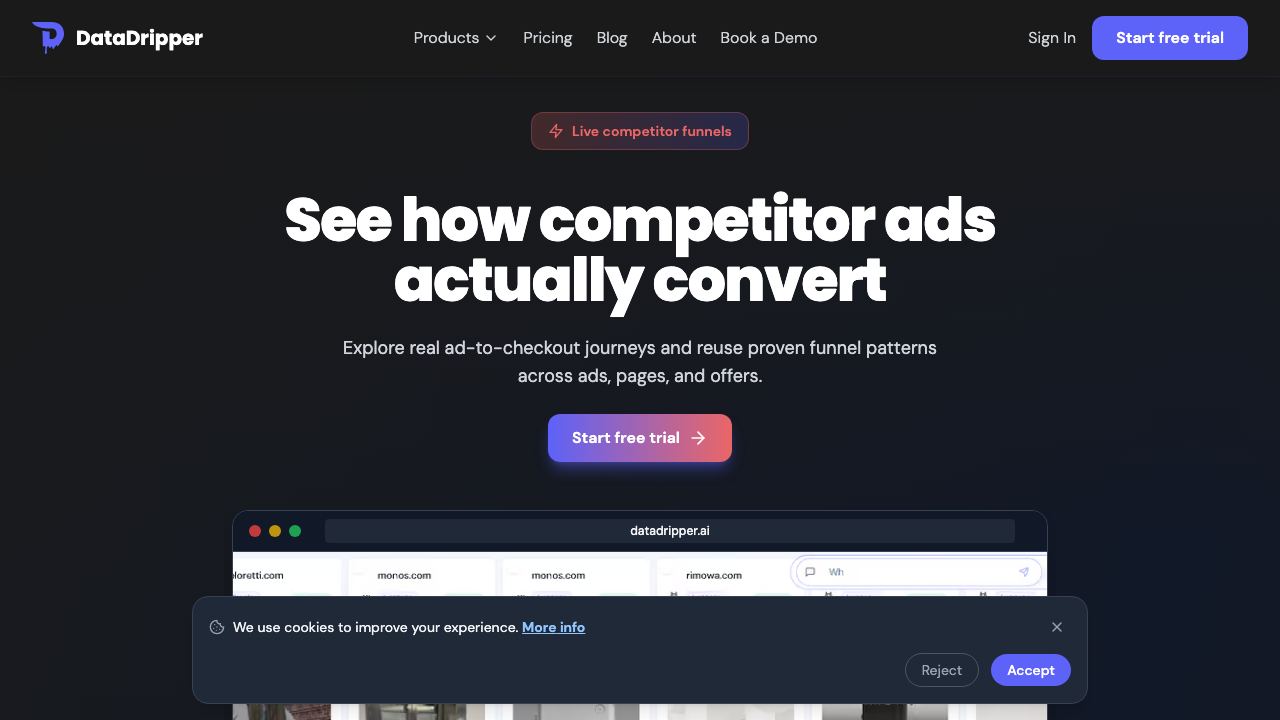 DataDripper 网站截图