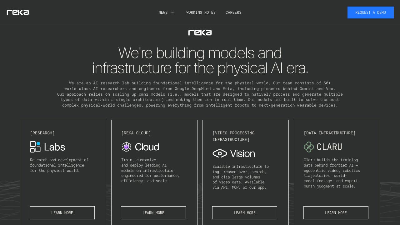 Reka Vision website screenshot
