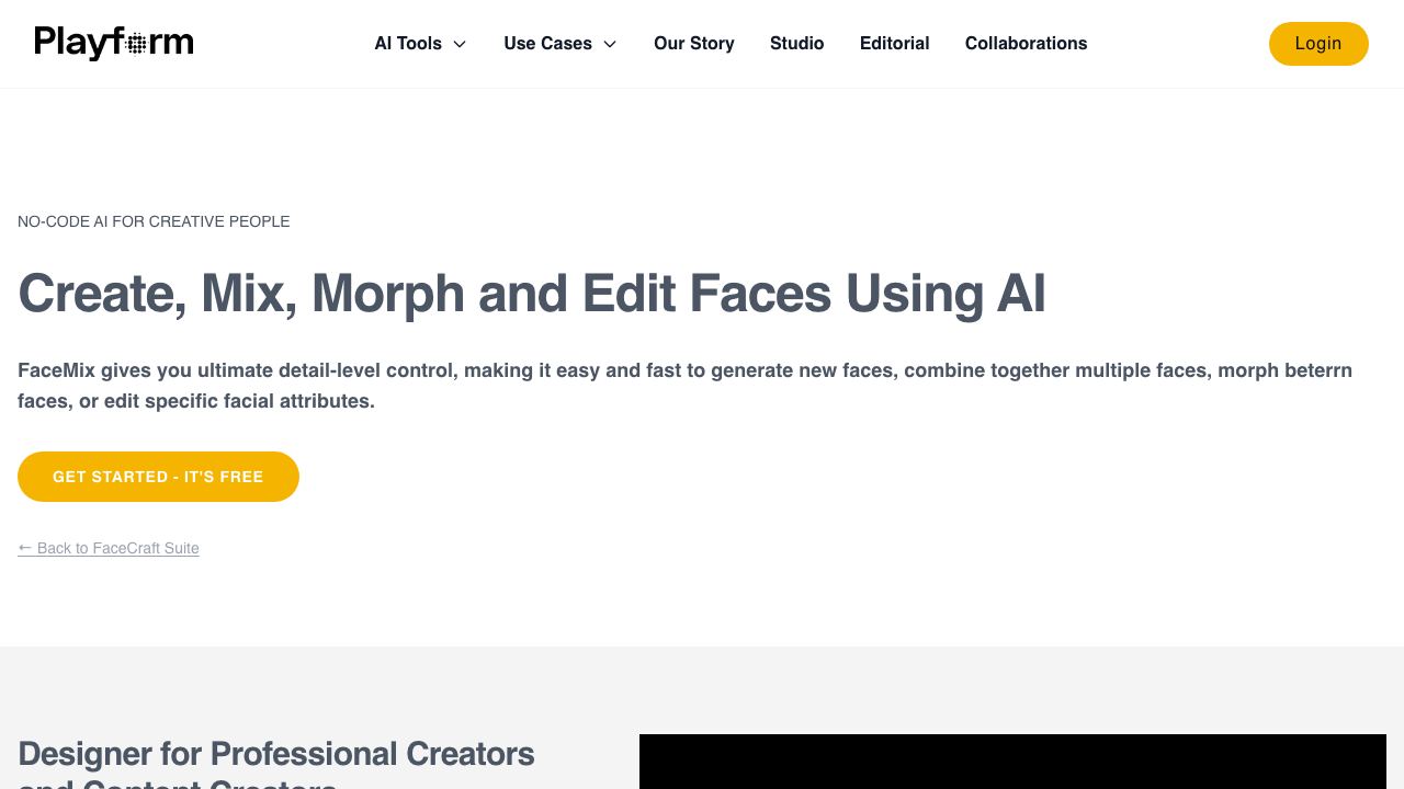 Face Mix website screenshot