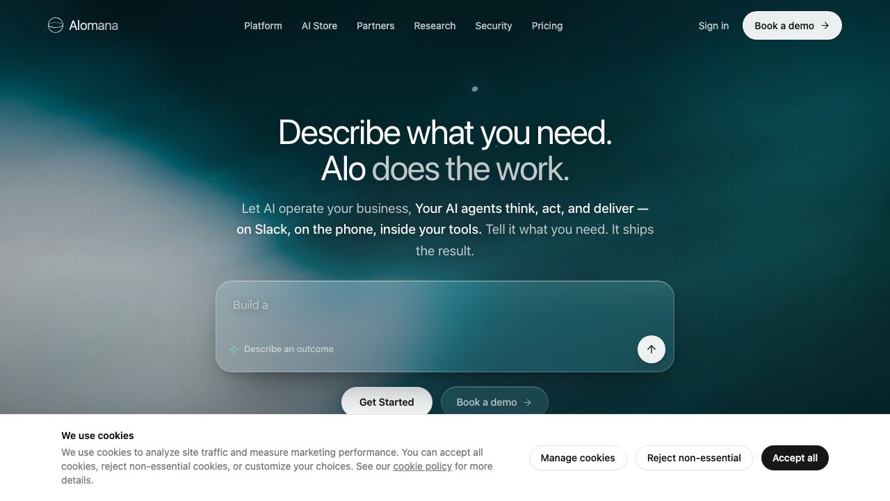 DataSpark AI 网站截图