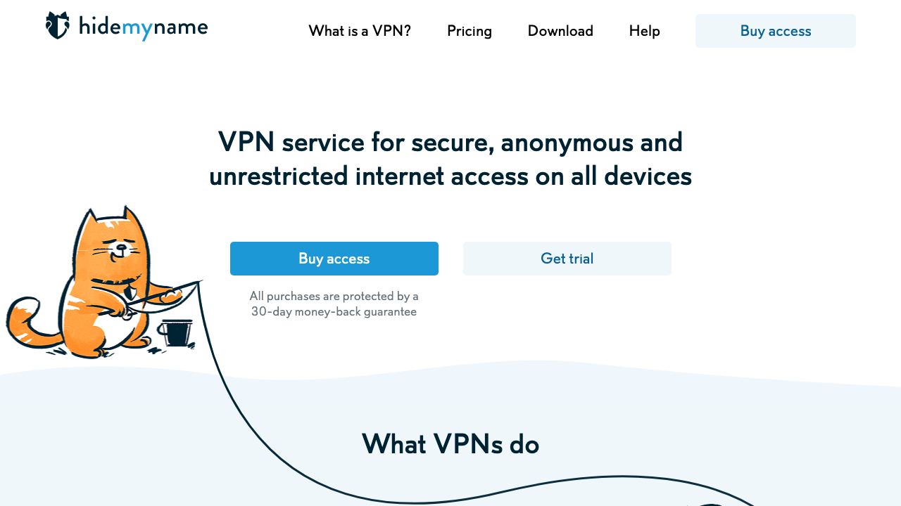 AI SEO Page 网站截图