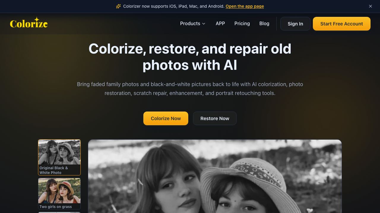Imagecolorizer 网站截图