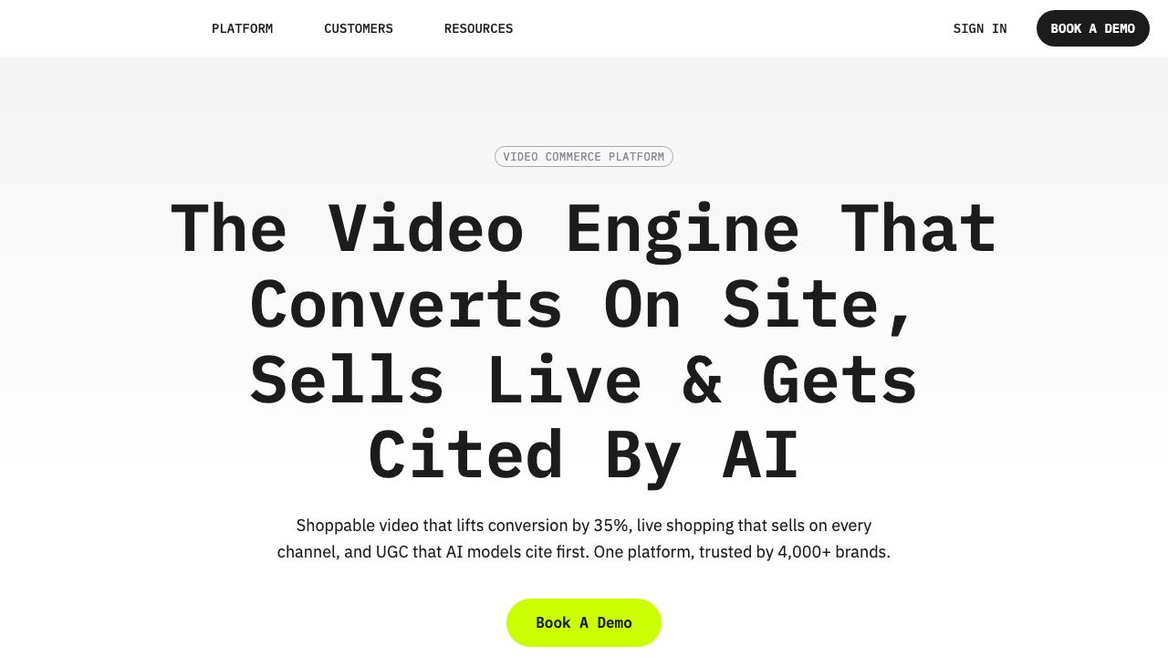 Videowise 网站截图