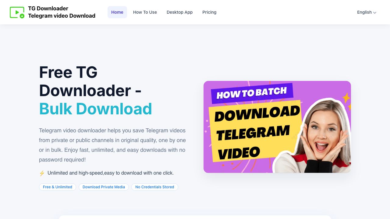 Telegram Video Downloader 网站截图