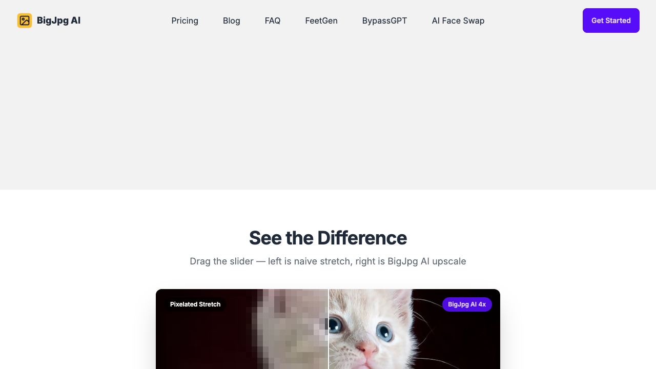 Bigjpg AI 网站截图