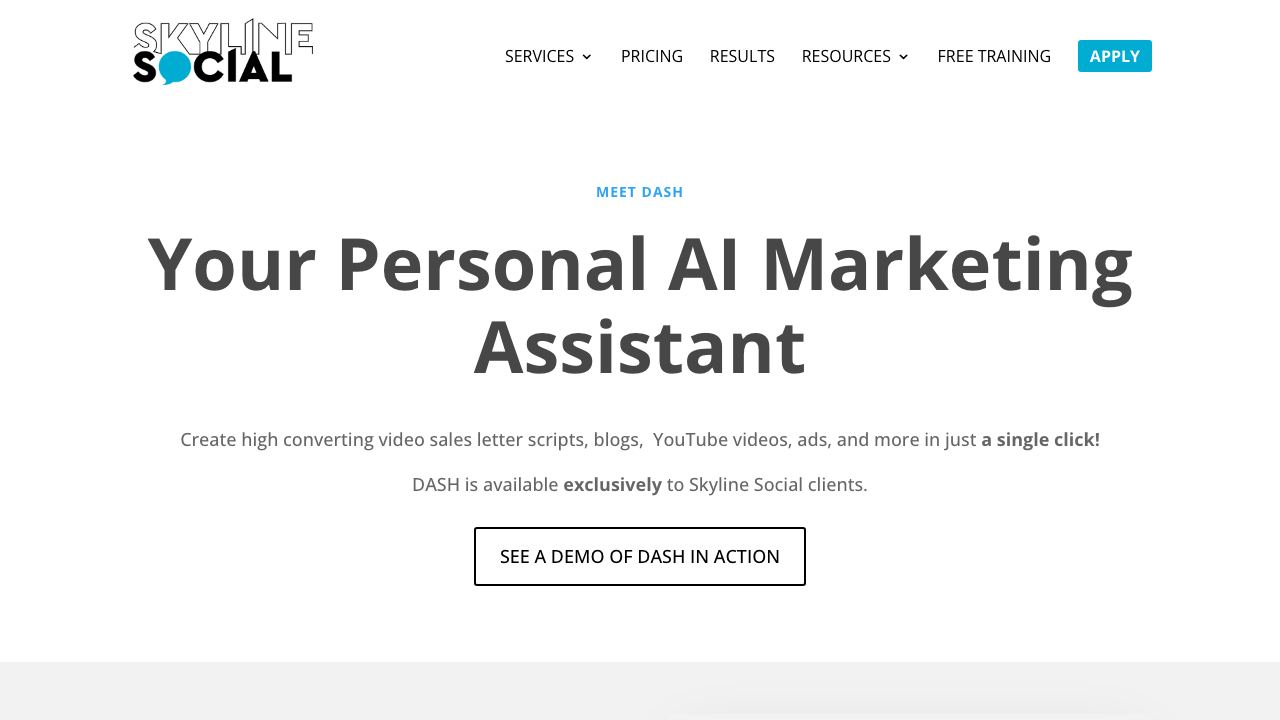 Skyline Social's AI Marketing Assistant website screenshot