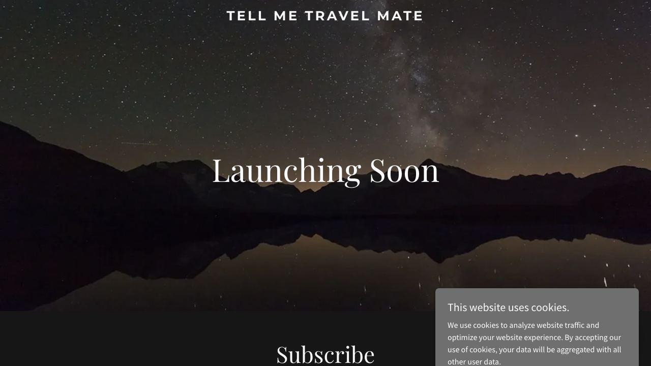 TravelMate 网站截图