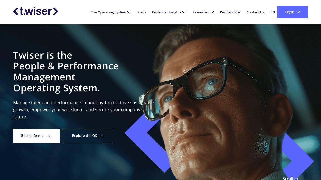 Twiser website screenshot
