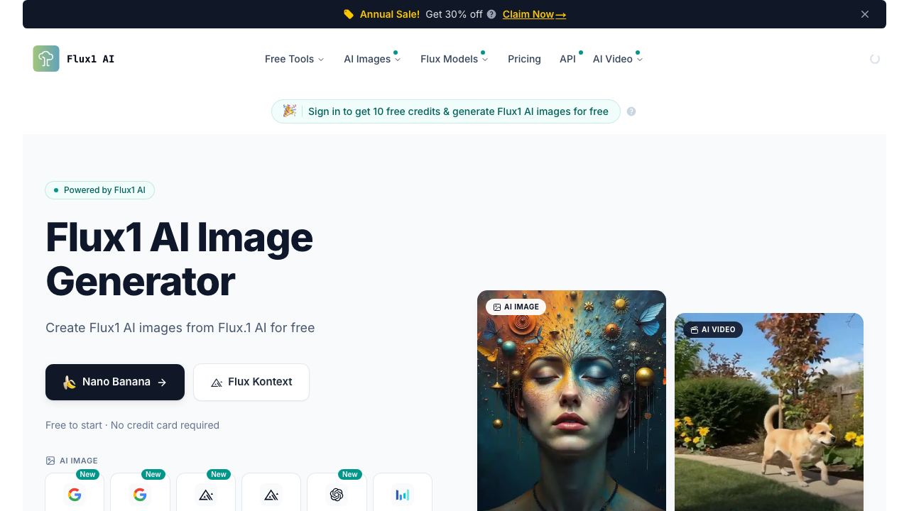 Janus Pro AI 网站截图