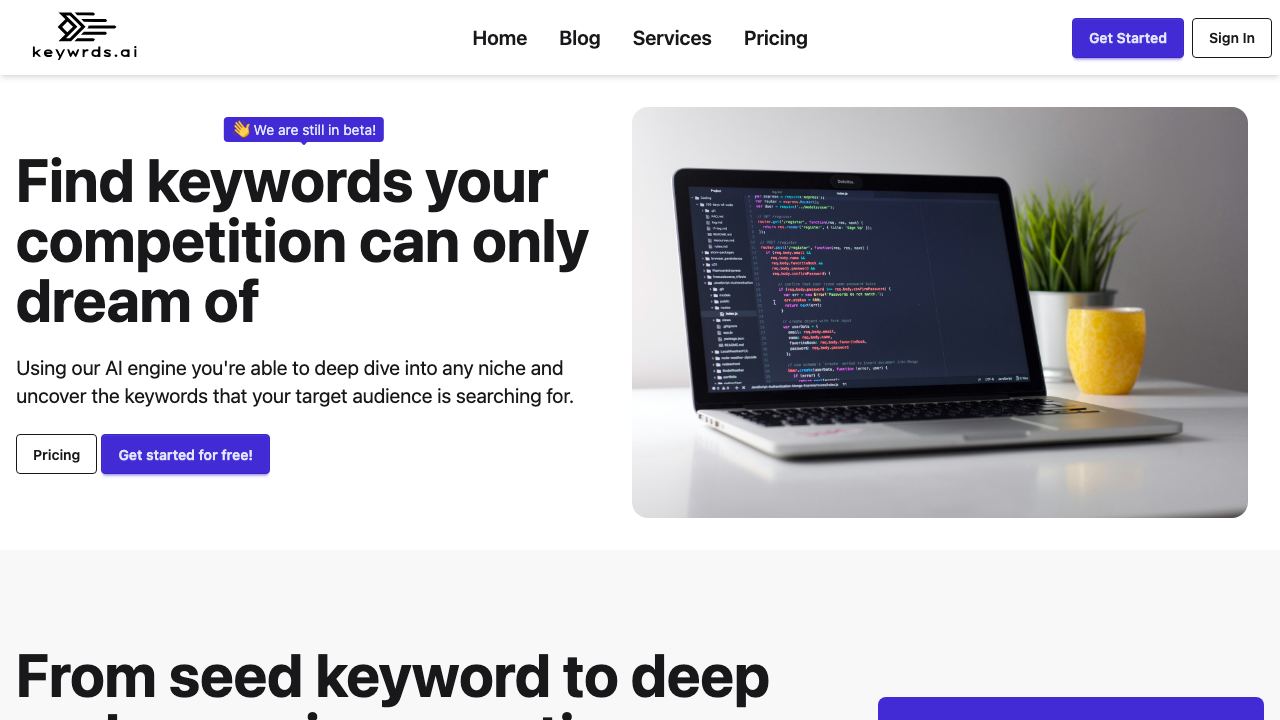 Keywrds.ai 网站截图