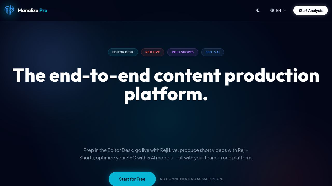 Manaliza Pro website screenshot