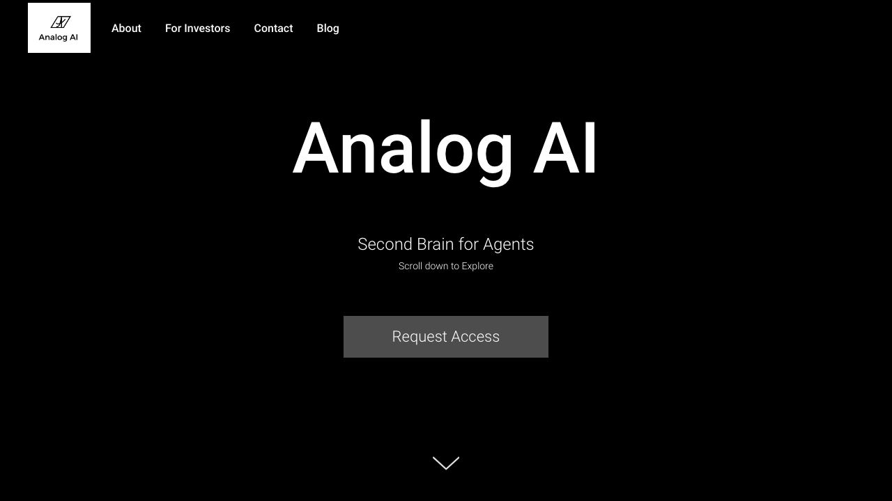 Analog Assistant website screenshot
