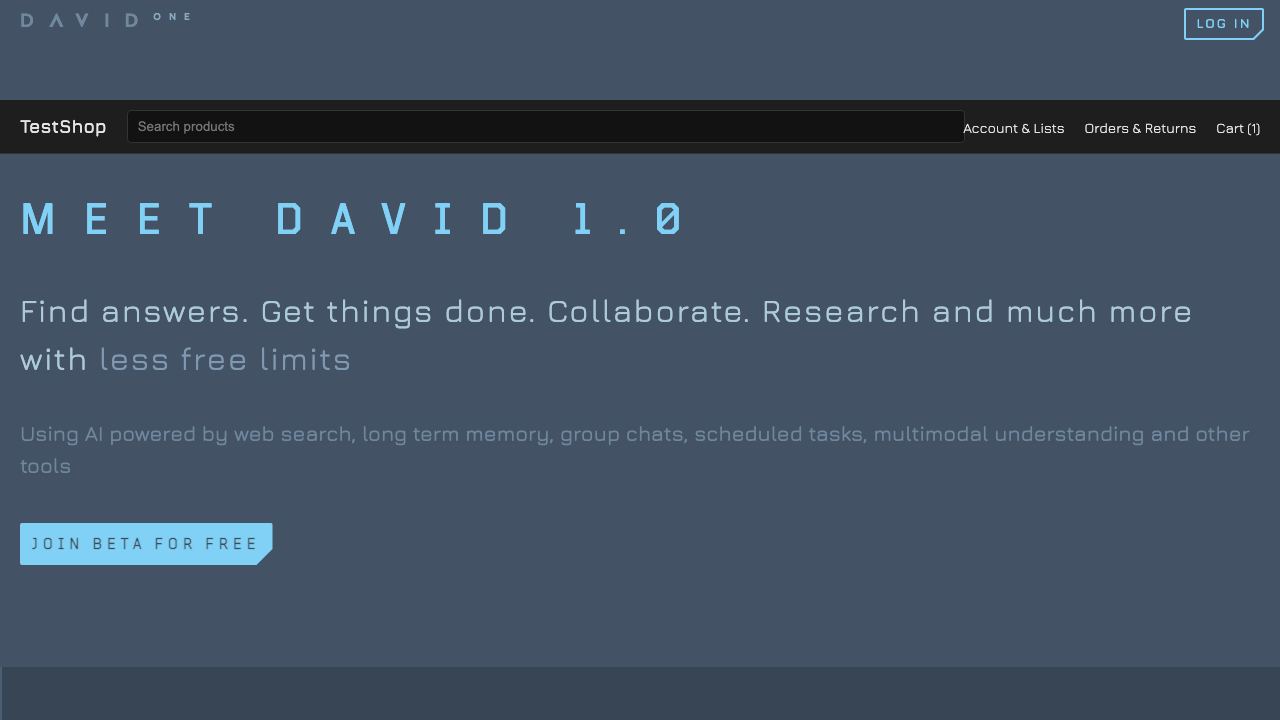 David One website screenshot