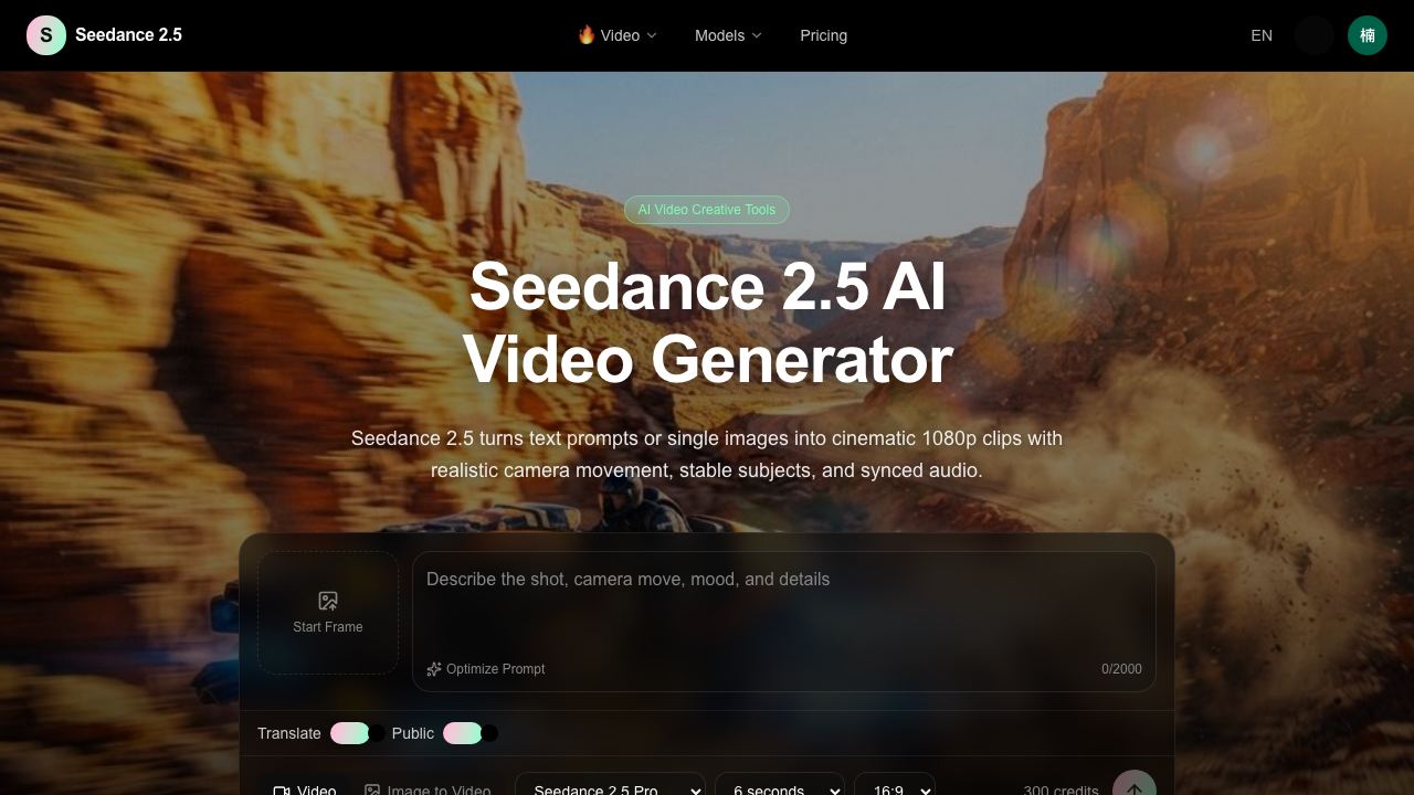 Seedance 2.5 -top 网站截图
