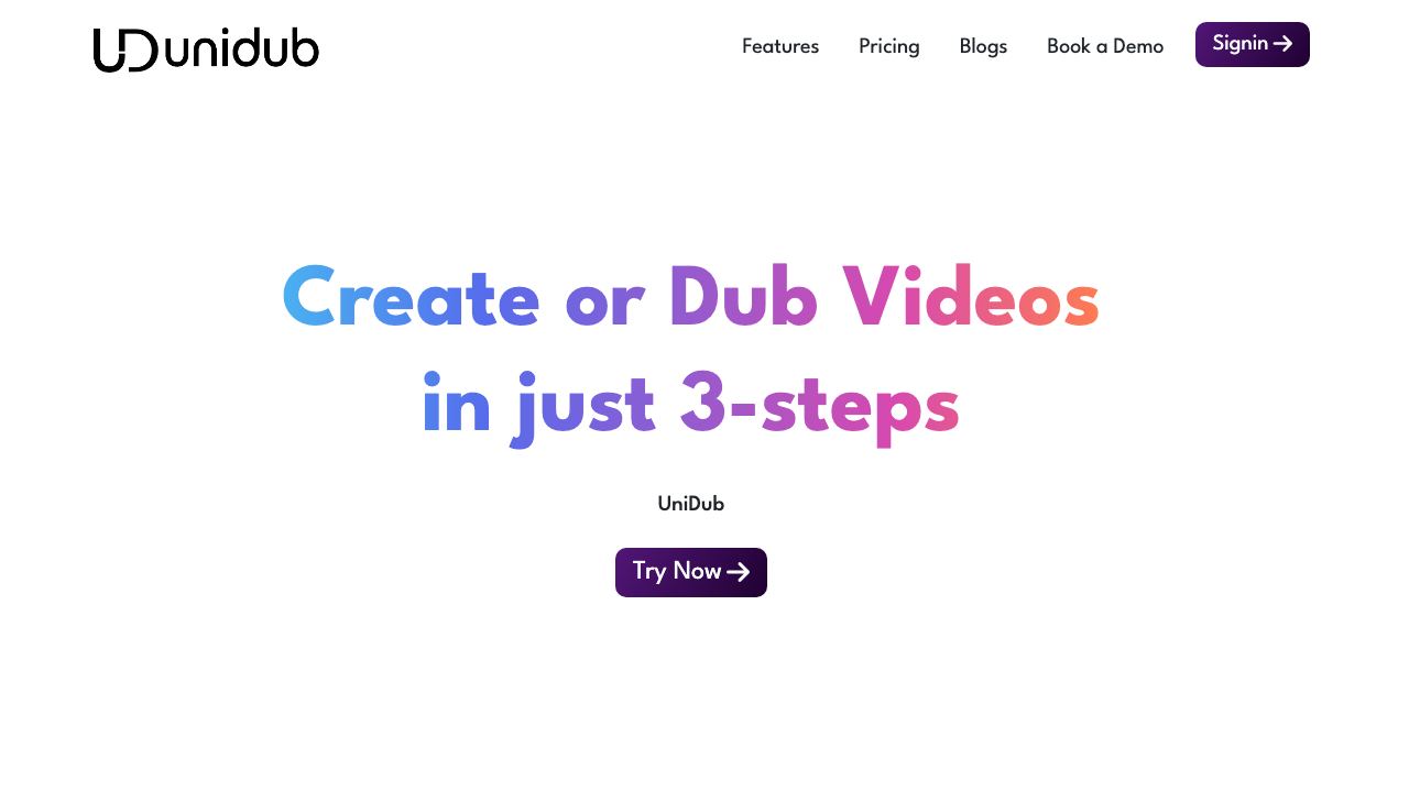 UniDub.co website screenshot