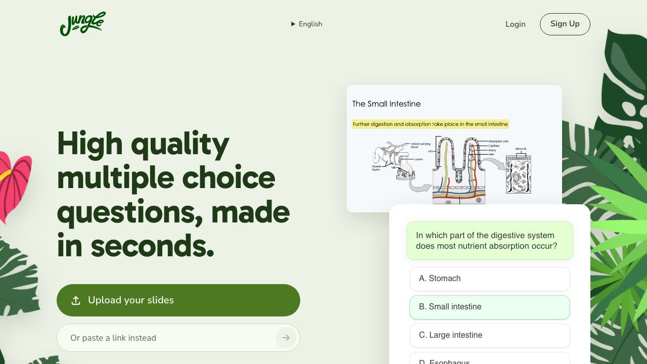 Wisdolia website screenshot