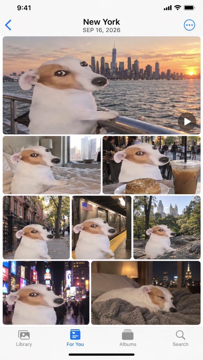 Apple Photos App Mockup - NYC Dog Trip example
