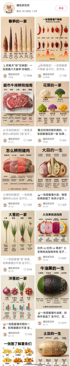 Food Lifecycle Infographic Prompt