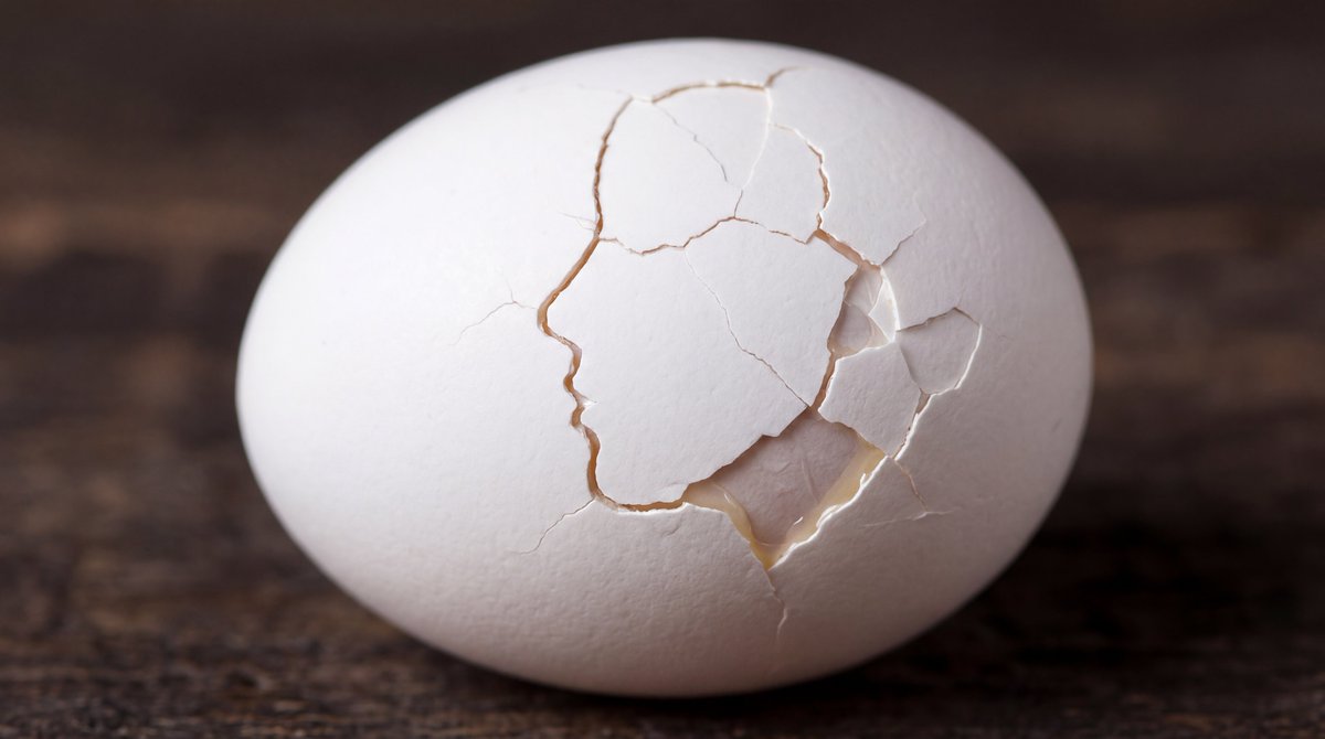 Cracked Egg with Shape Outline