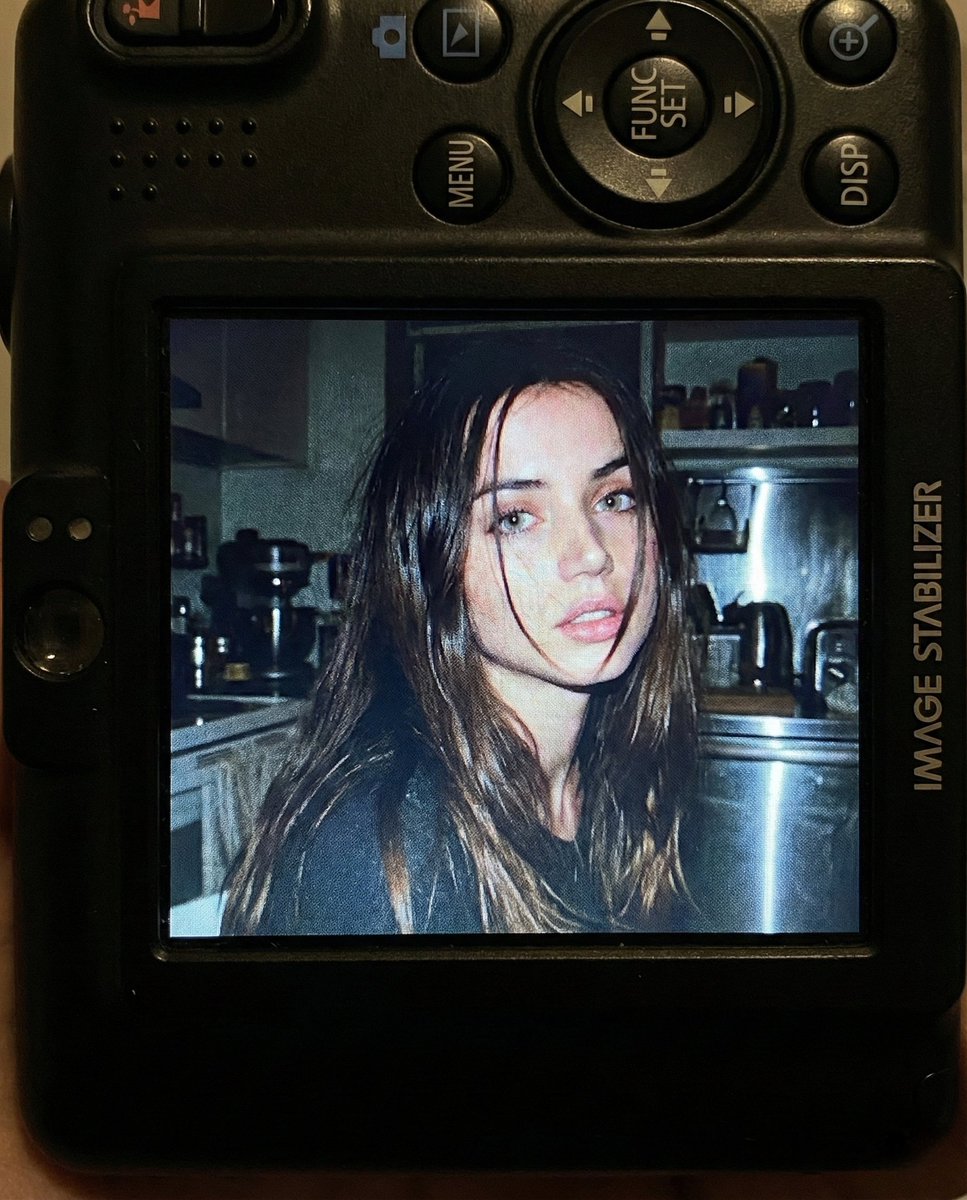 Nostalgic Early 2000s Digital Camera Portrait Prompt example